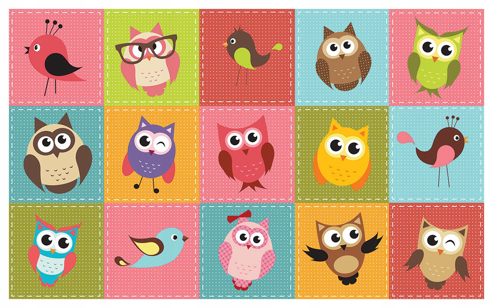 Fototapeta Sovy, ptáci, vinylová, barevná, do dětského pokoje 208x146 lepidlo