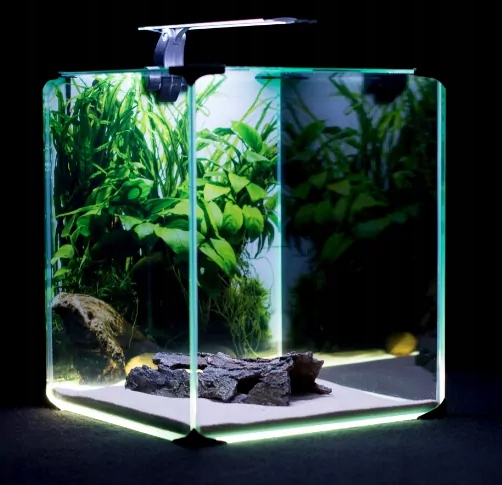 Diversa Zestaw Neo Light 30 Roślinne