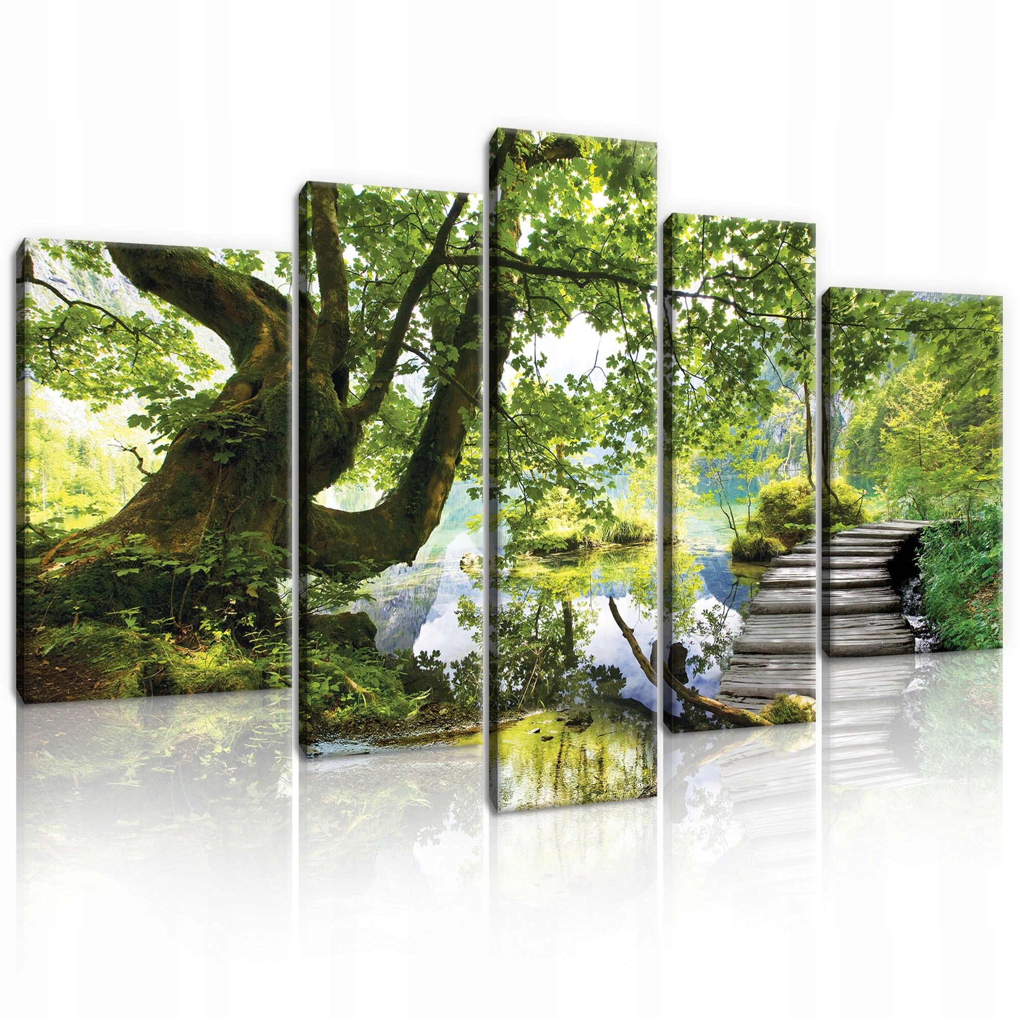 Obraz 170x100 Príroda les jazero rieka pokoj leto krajina príroda