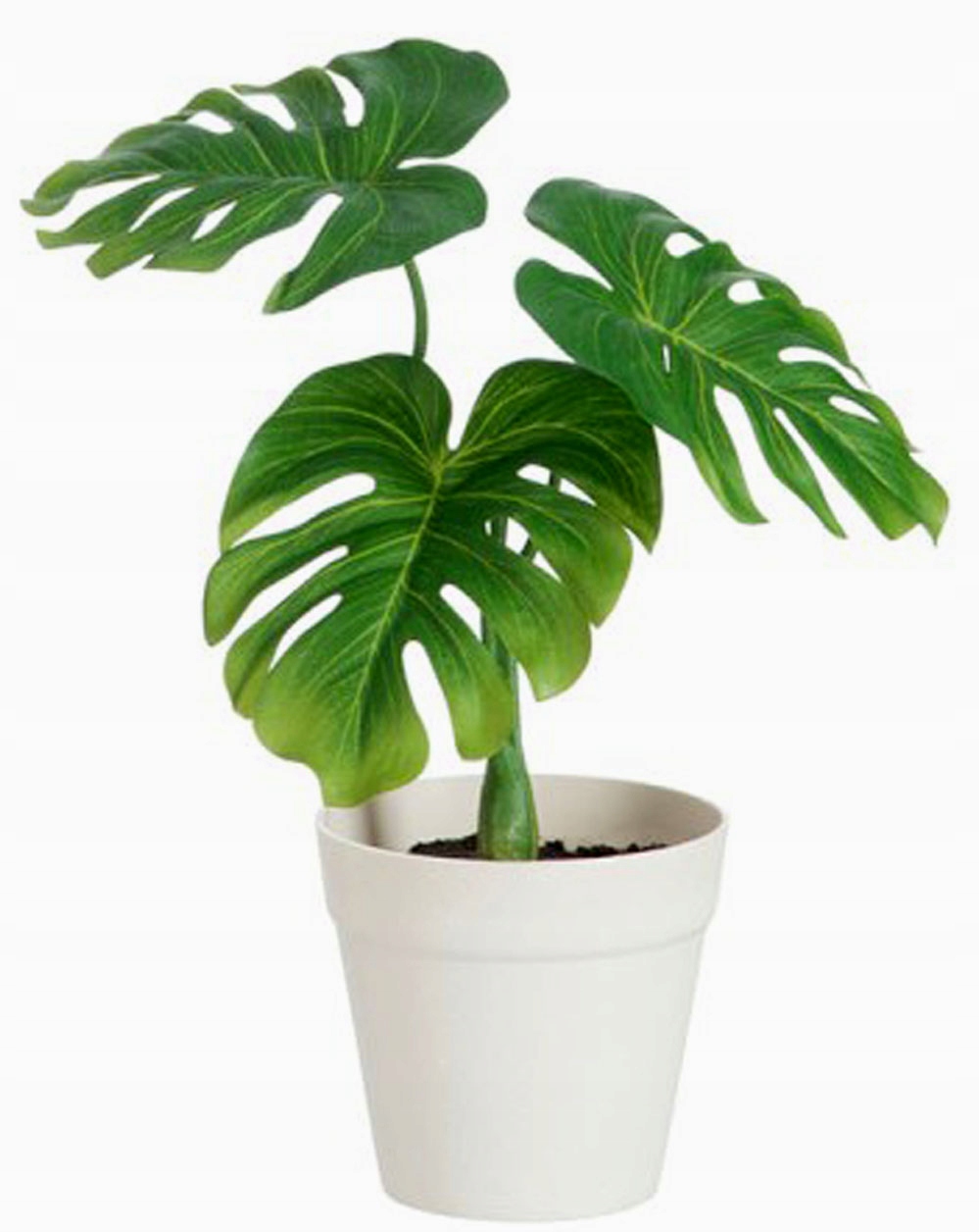 

Sztuczna roślina monstera w doniczce 31 cm