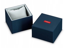 Zegarek TIMEX TW2U67500 Typ naręczny