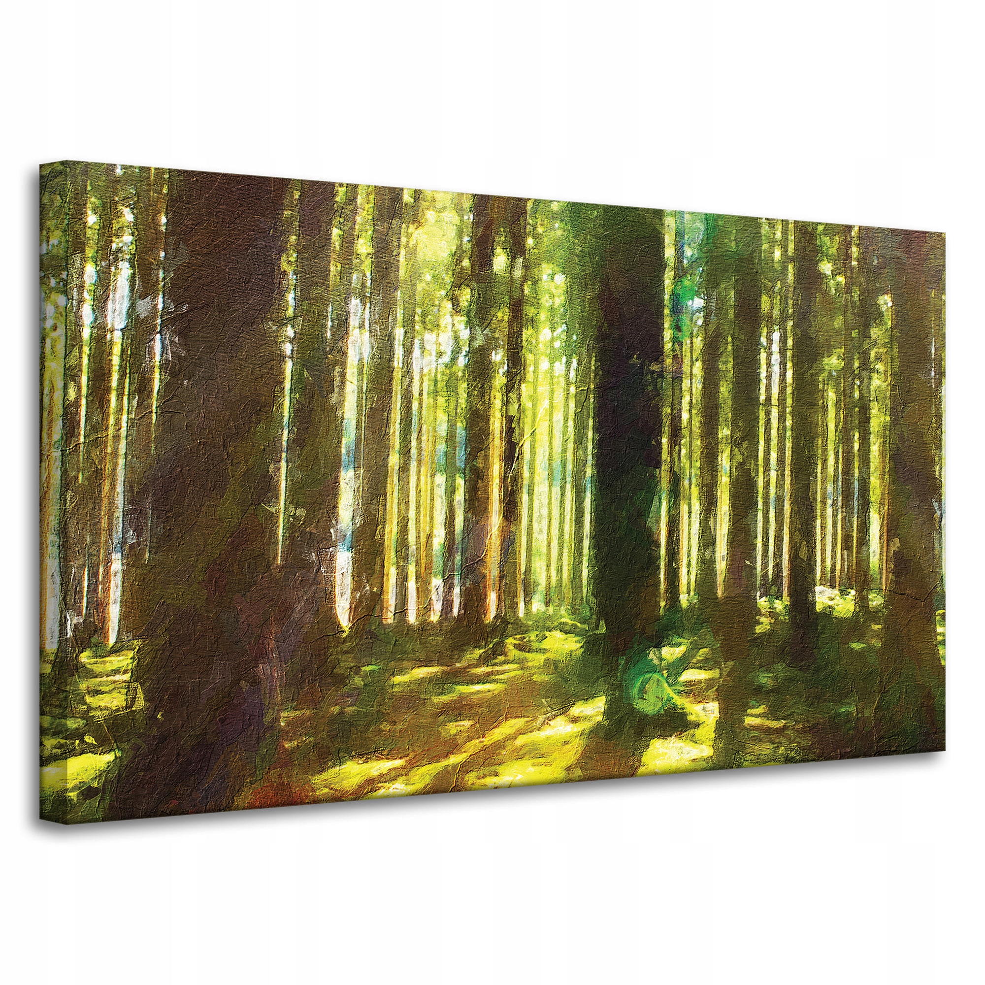 Obraz na plátně Olejový les Stromy Světlo Příroda 100x60 cm