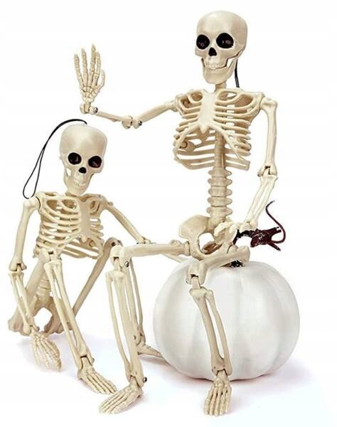 DEKORACJA SZKIELETOR SZKIELET HALLOWEEN 90 CM Typ inny