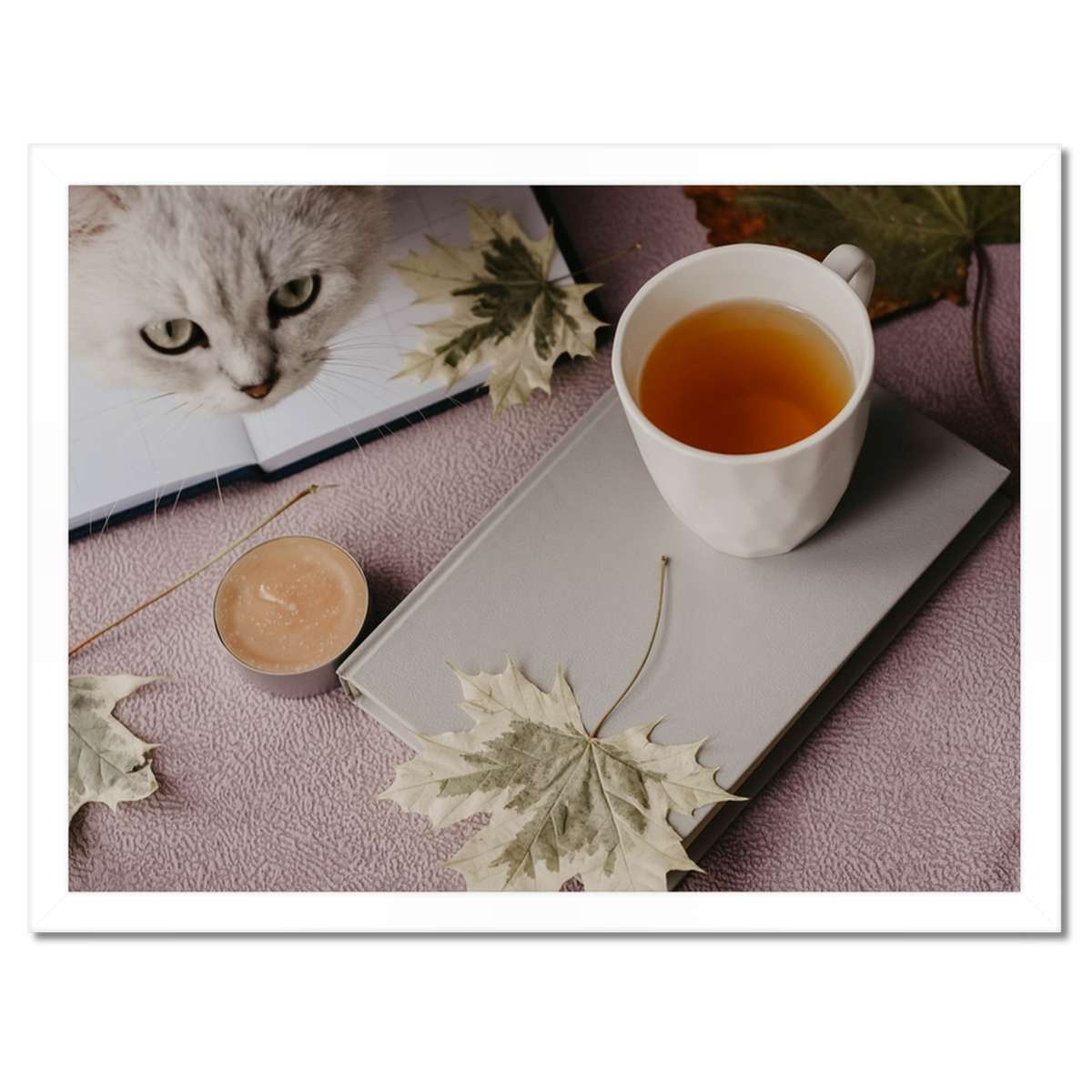 Plakáty v rámu 40x30 Kočka Kočky Kicia