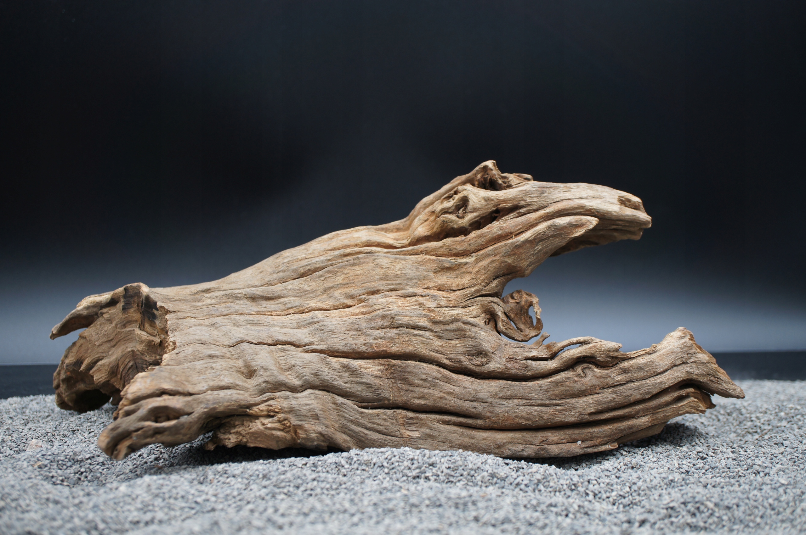 Kořen pro terarijní akvárium jagged wood 30 cm – Přesně Jako Na Obrázku (J66)