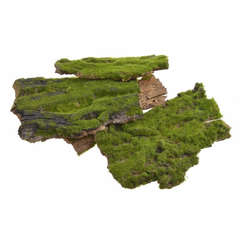 

Kora z Mchem Dekoracja Budowa Ścianka Terrarium