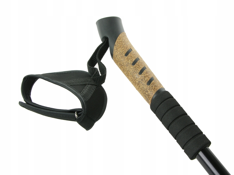 KIJKI DO CHODZENIA Trekkingowe NORDIC WALKING 2664 Kolor dominujący wielokolorowy