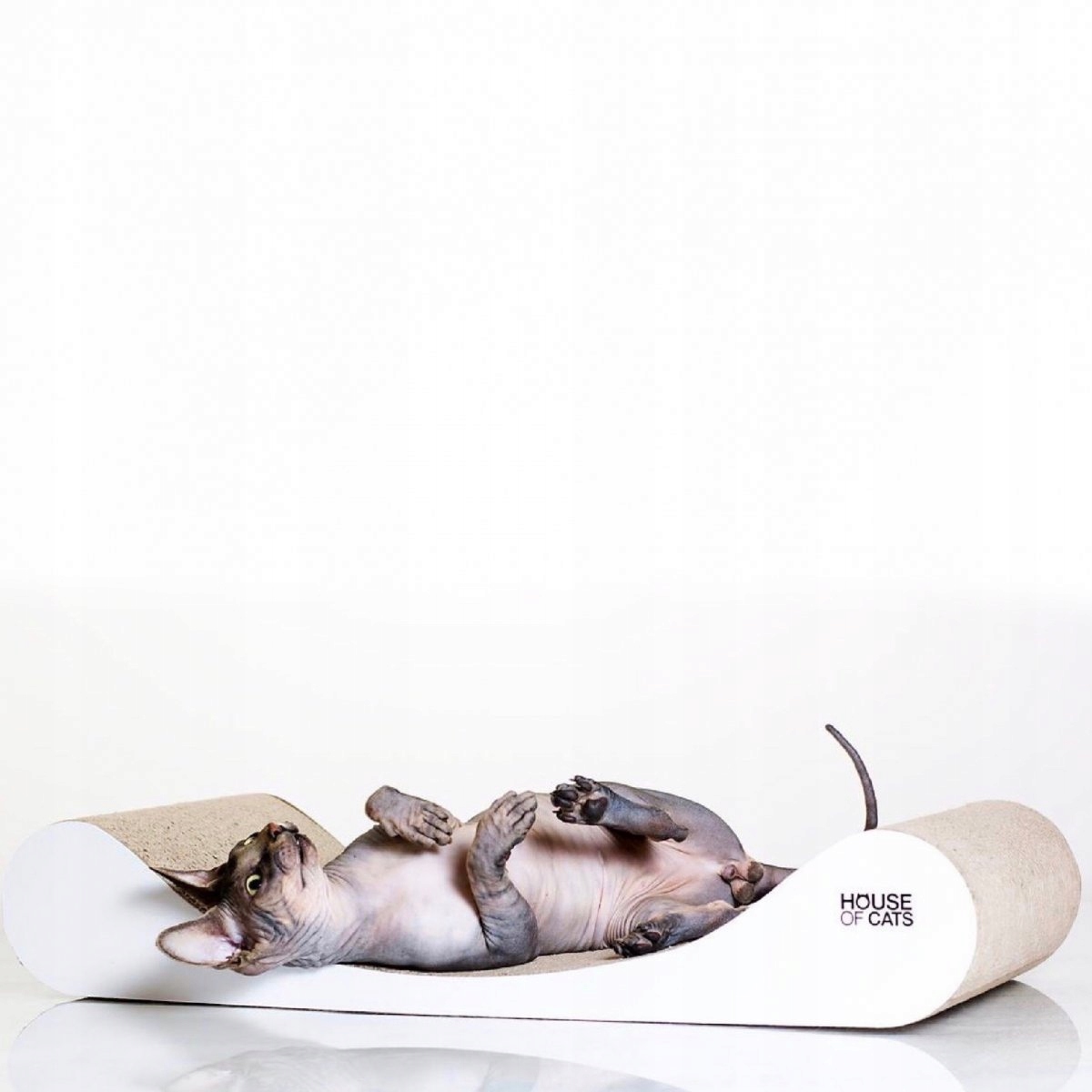 Levně Kartónové škrabadlo, lehátko od House of Cats