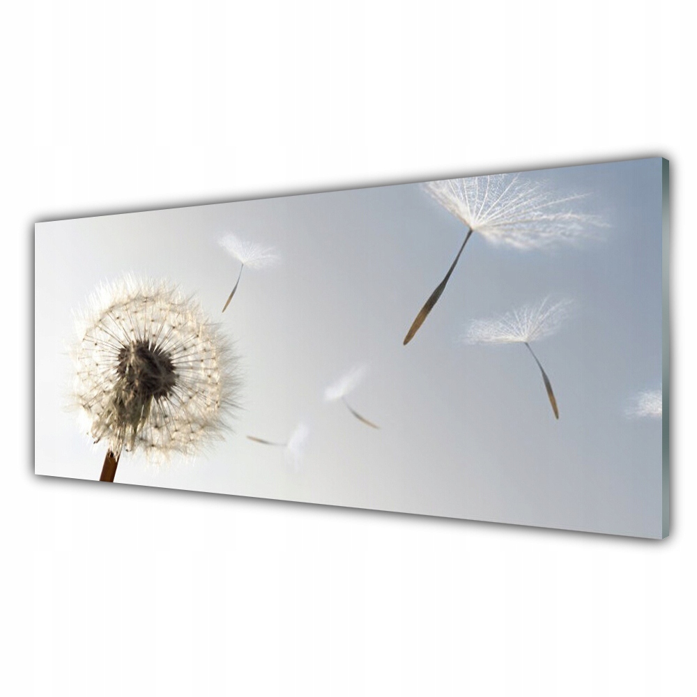 

Obraz z nadrukiem 125x50 Dmuchawiec Kwiaty Natura