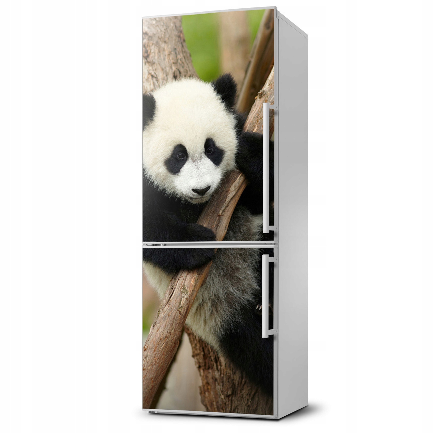 

Naklejka Magnes na lodówkę Panda na drzewie 60x180