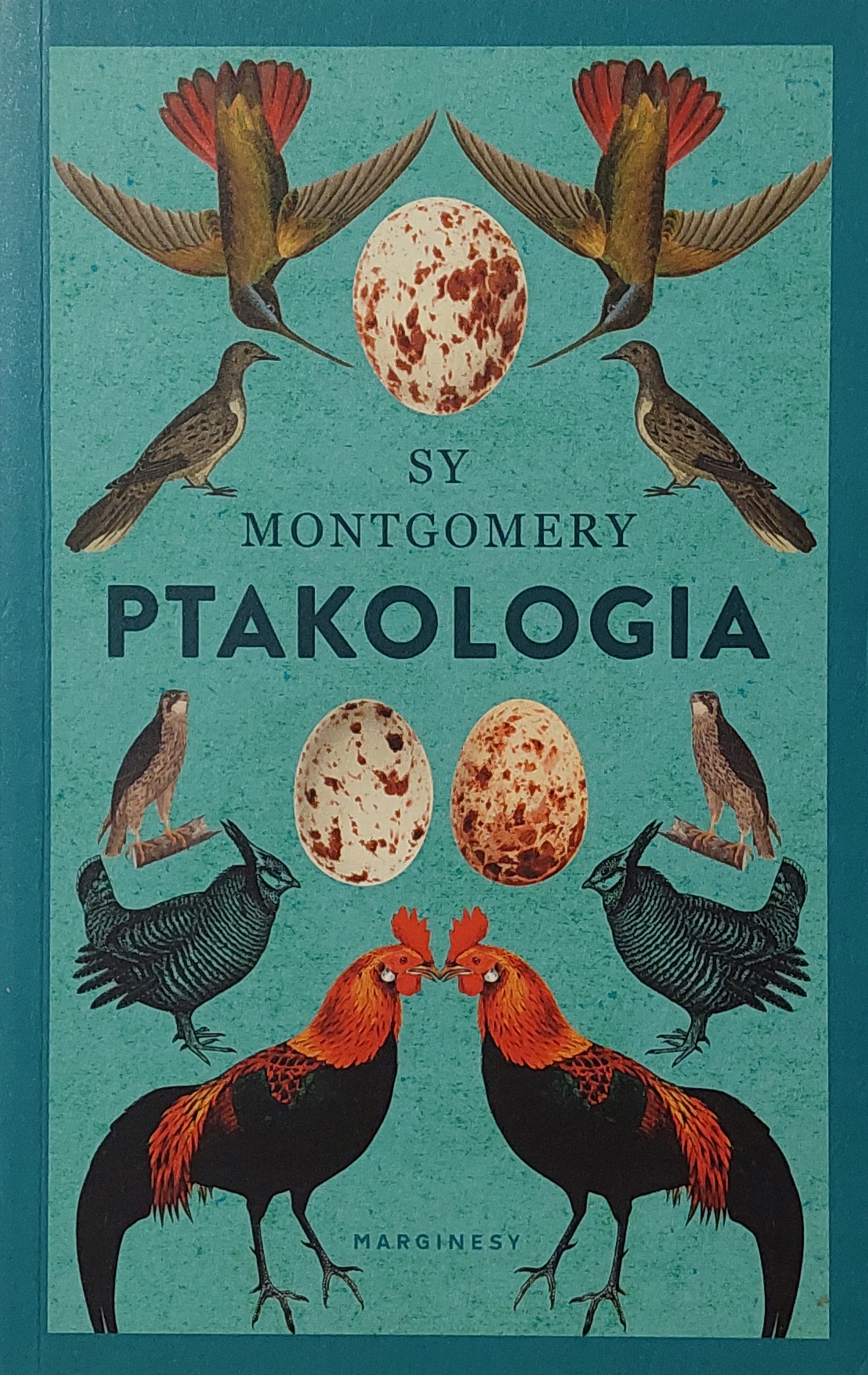 Sy Montgomery Ptakologia