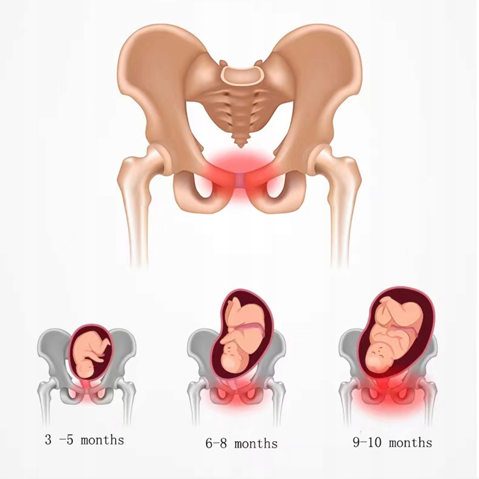 PAS CIĄŻOWY PODTRZYMUJĄCY BRZUCH ODCIĄŻAJĄCY KRĘGOSŁUP - ULGA W BÓLU Rozmiar M