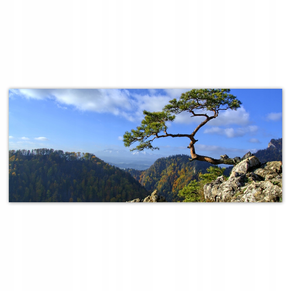 

Fototapety flizelina 250x104 Krajobraz Widok