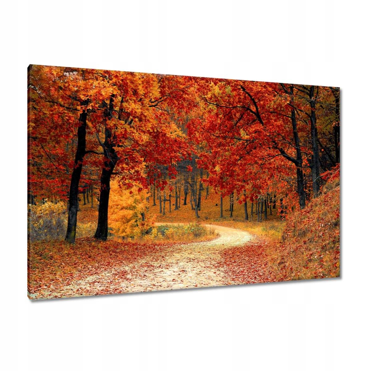 Obrazy 120x80 Krajina