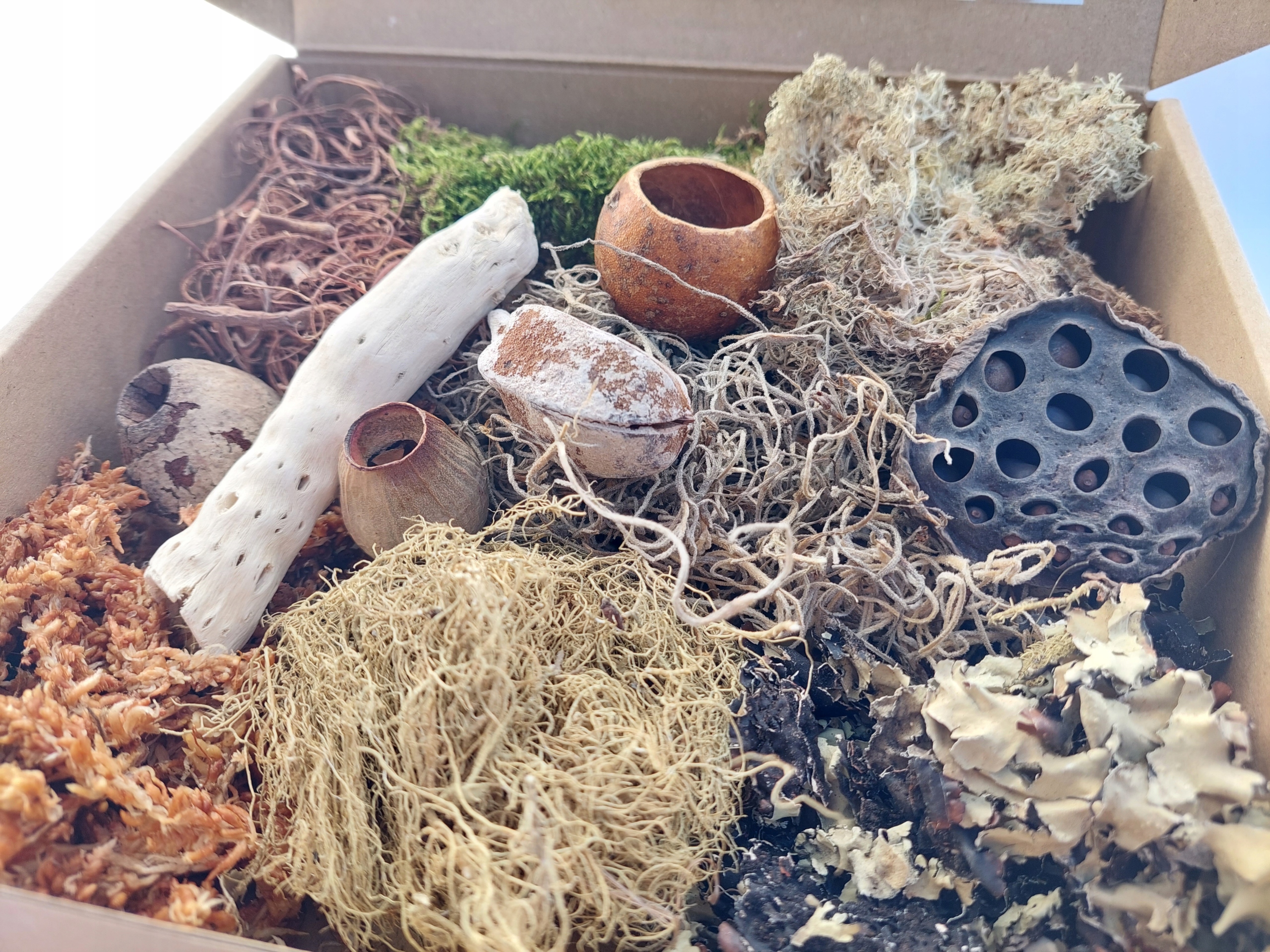 

Zestaw dekoracji terrarium duża paka 20x20x5 nr1