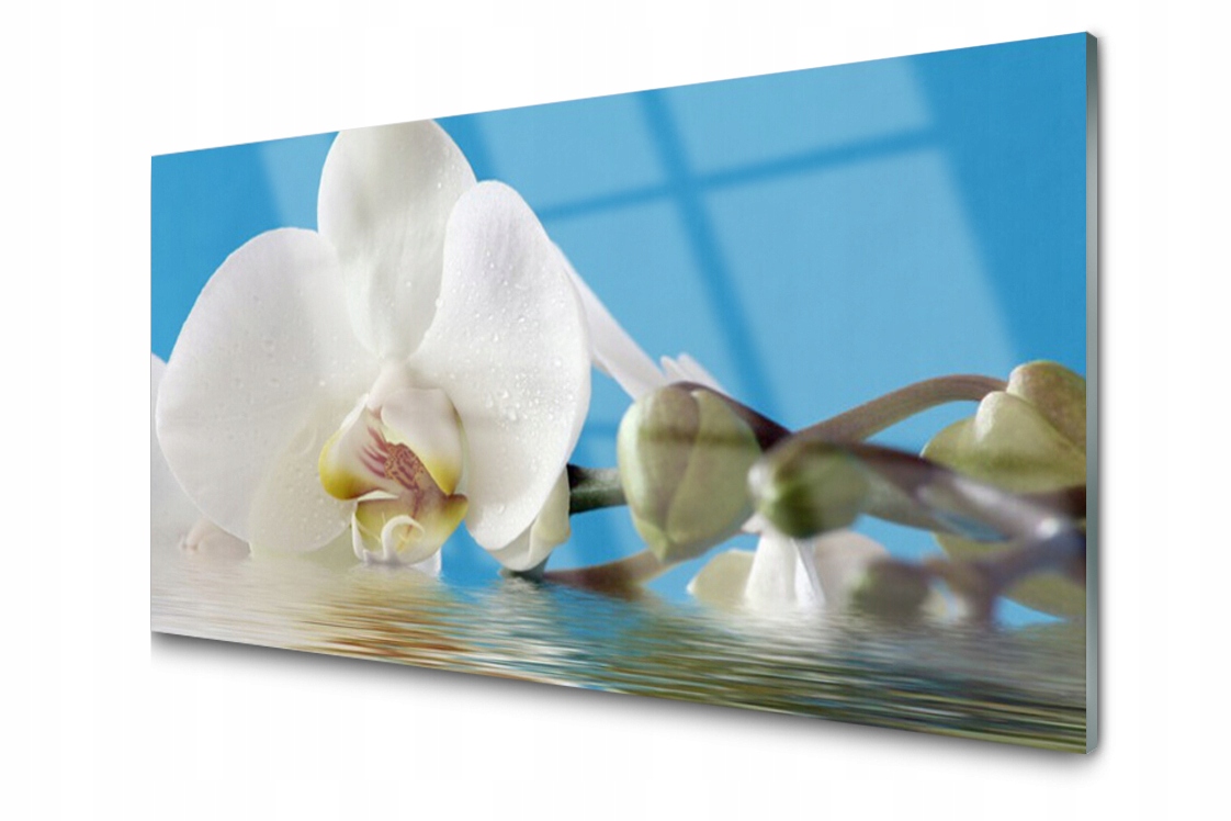 

Panel szklany dekor Kwiat Roślina 140x70 + Klej