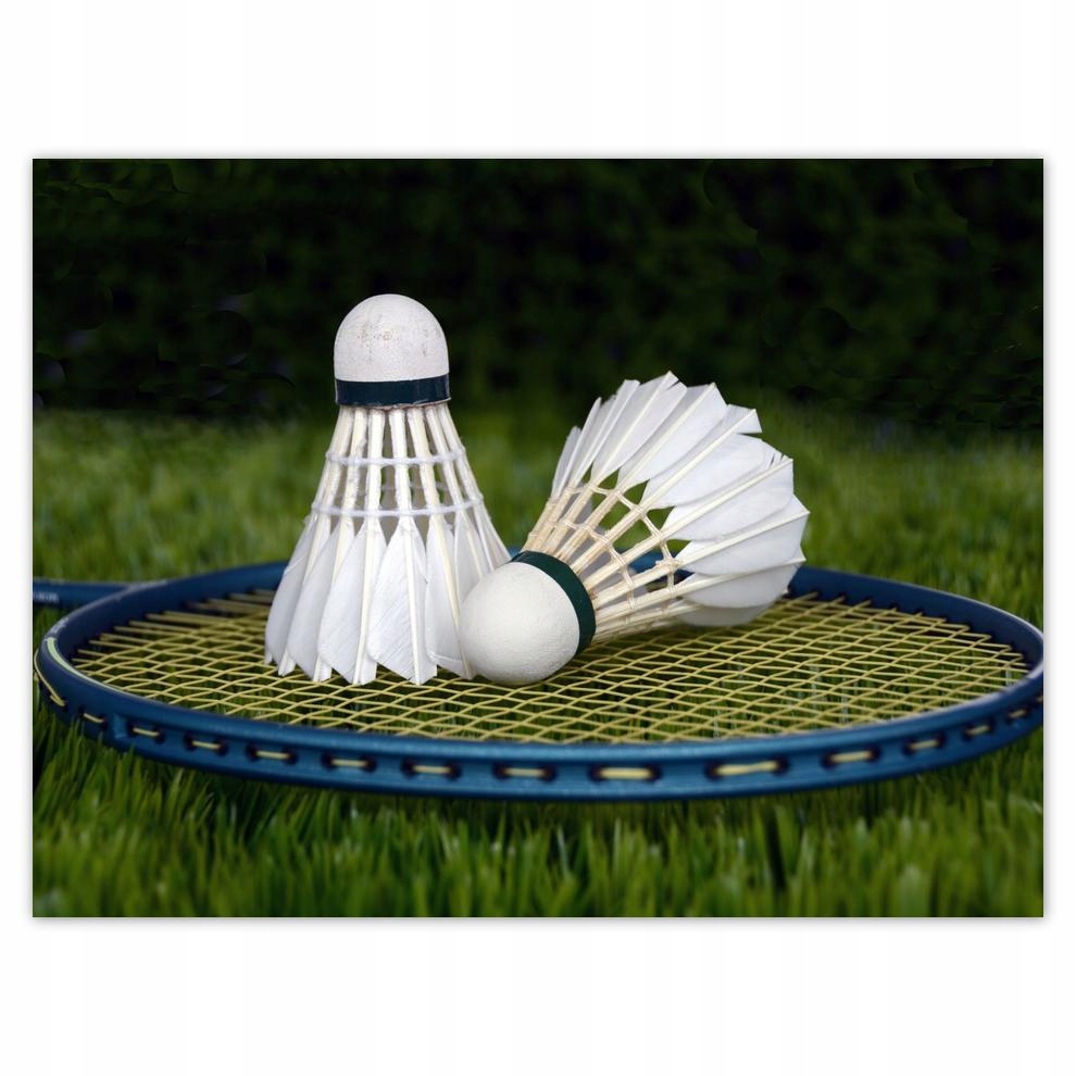 

Plakat 40x30 Paletki Lotki Badminton