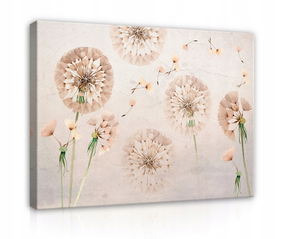 Obraz 100x75 Pampeliška lékařská příroda jemnost lehkost klid spánek léto