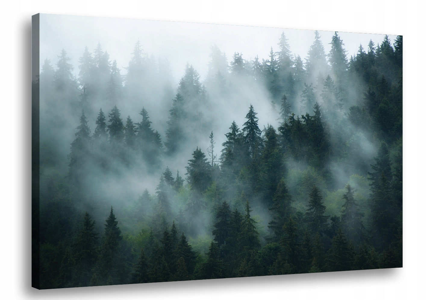 

Obraz na płótnie Las Drzewa Mgła 71A-90x60cm