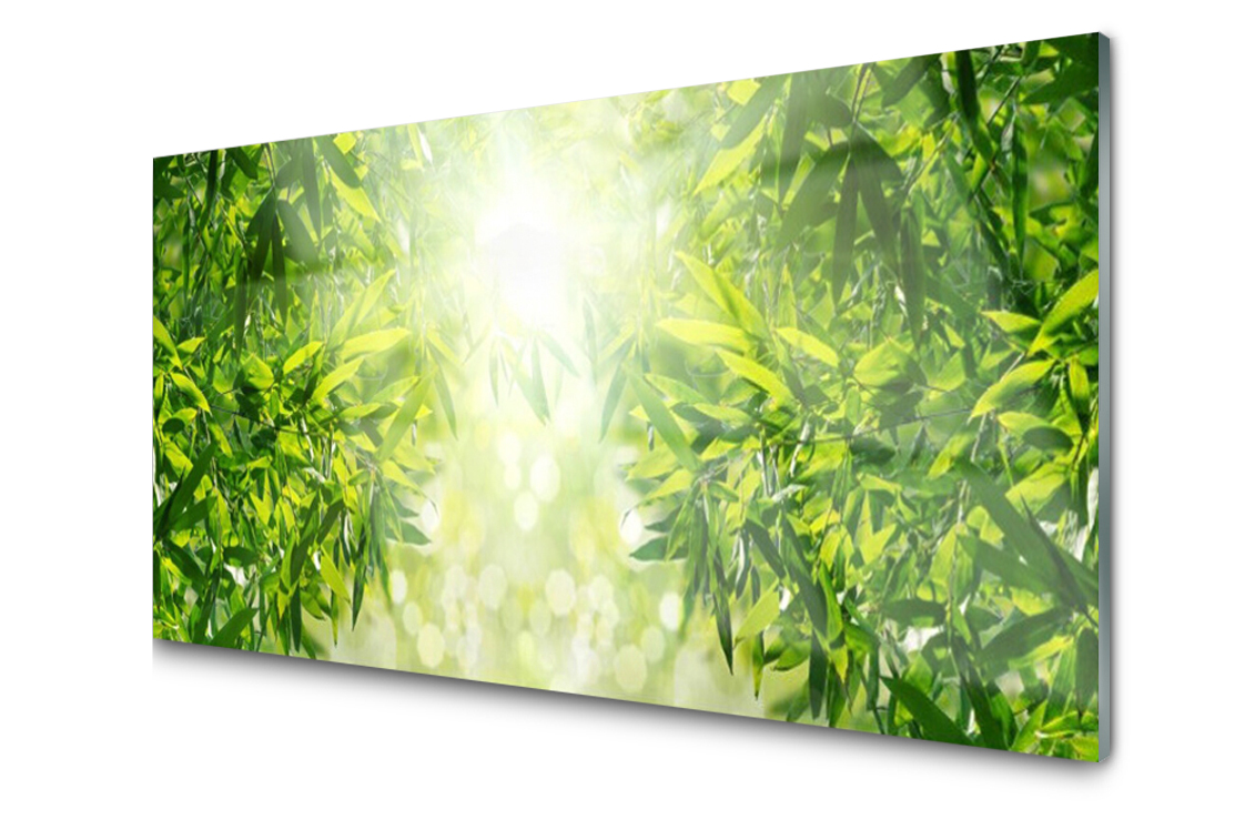 Skleněný panel dekor Listy Rostlina 120x60 Lepidlo