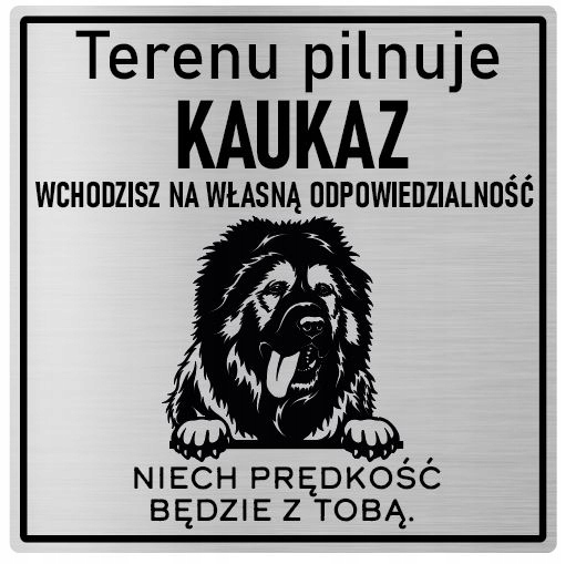 

Tabliczka uwaga pies Kaukaz
