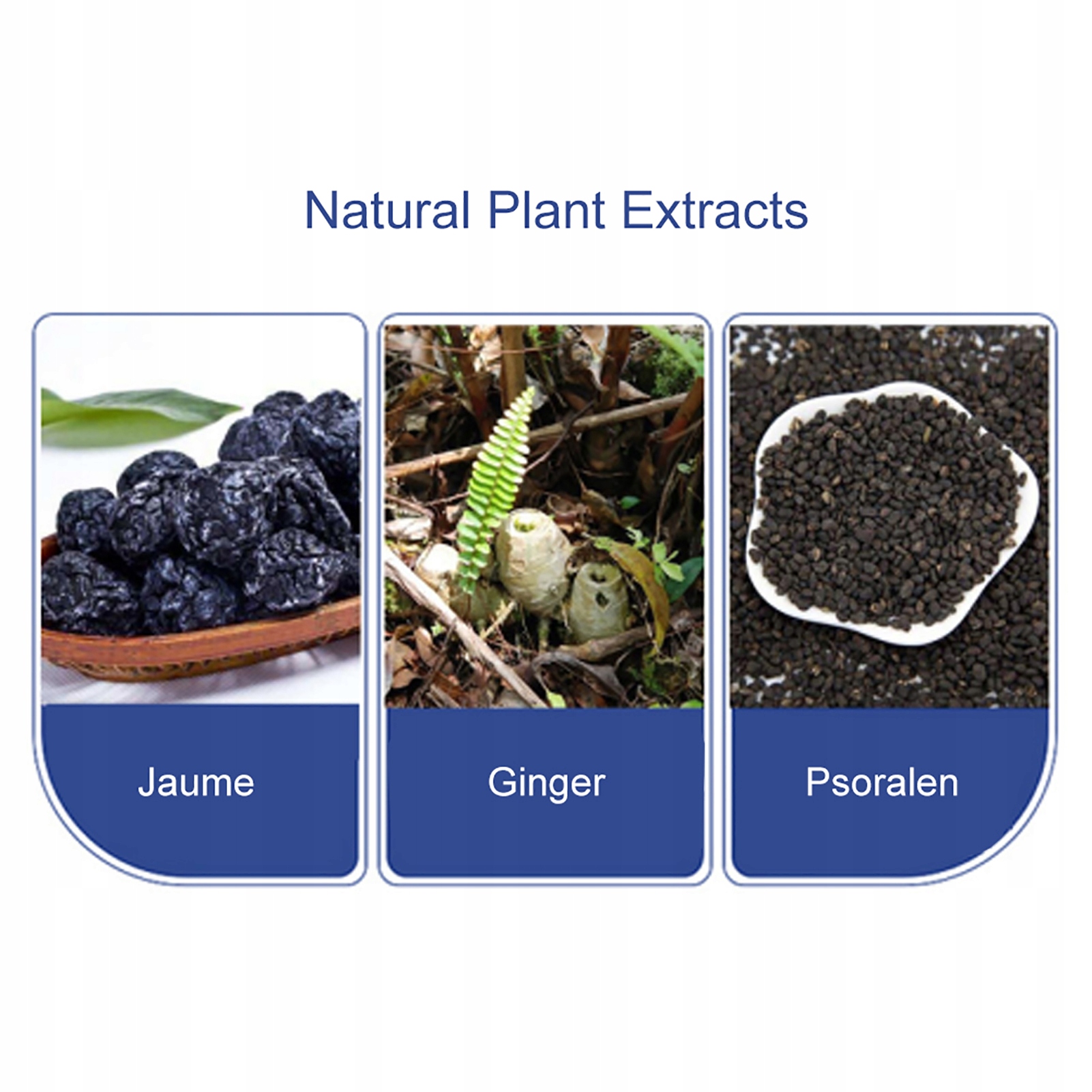 LECZENIE BIELACTWA, OPŁACALNE OPŁACALNE WYSOKA Marka bez marki