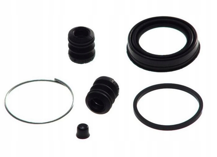 ZESTAw NAPRAWCZY ZACISKU CLIO I MEGANE 7701201806