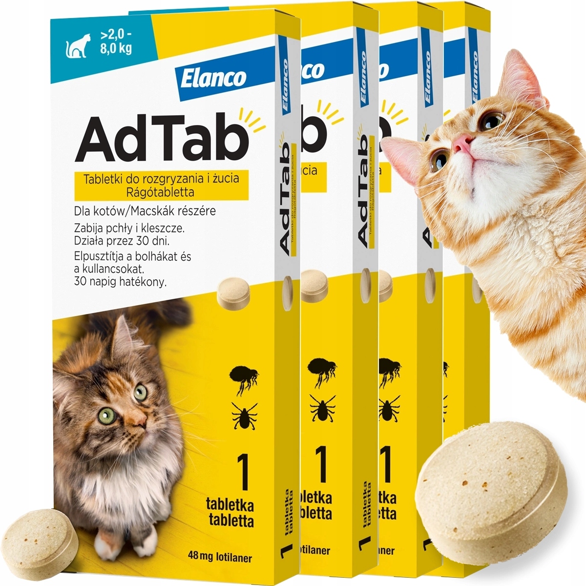 4 x Tabletka Ad tab dla Kota do 2 kg na Kleszcze Pasożyty Pchły na 120 dni