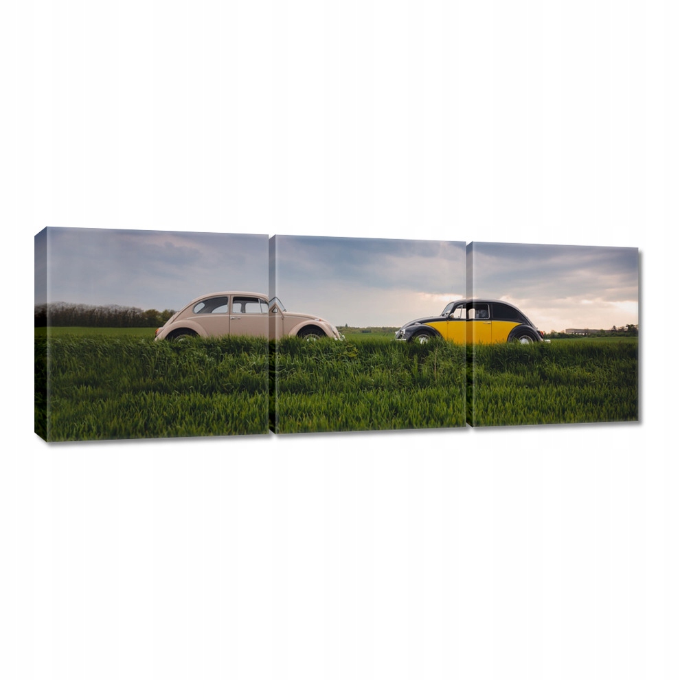 

Obrazy 60x20 Garbusy Volkswagen