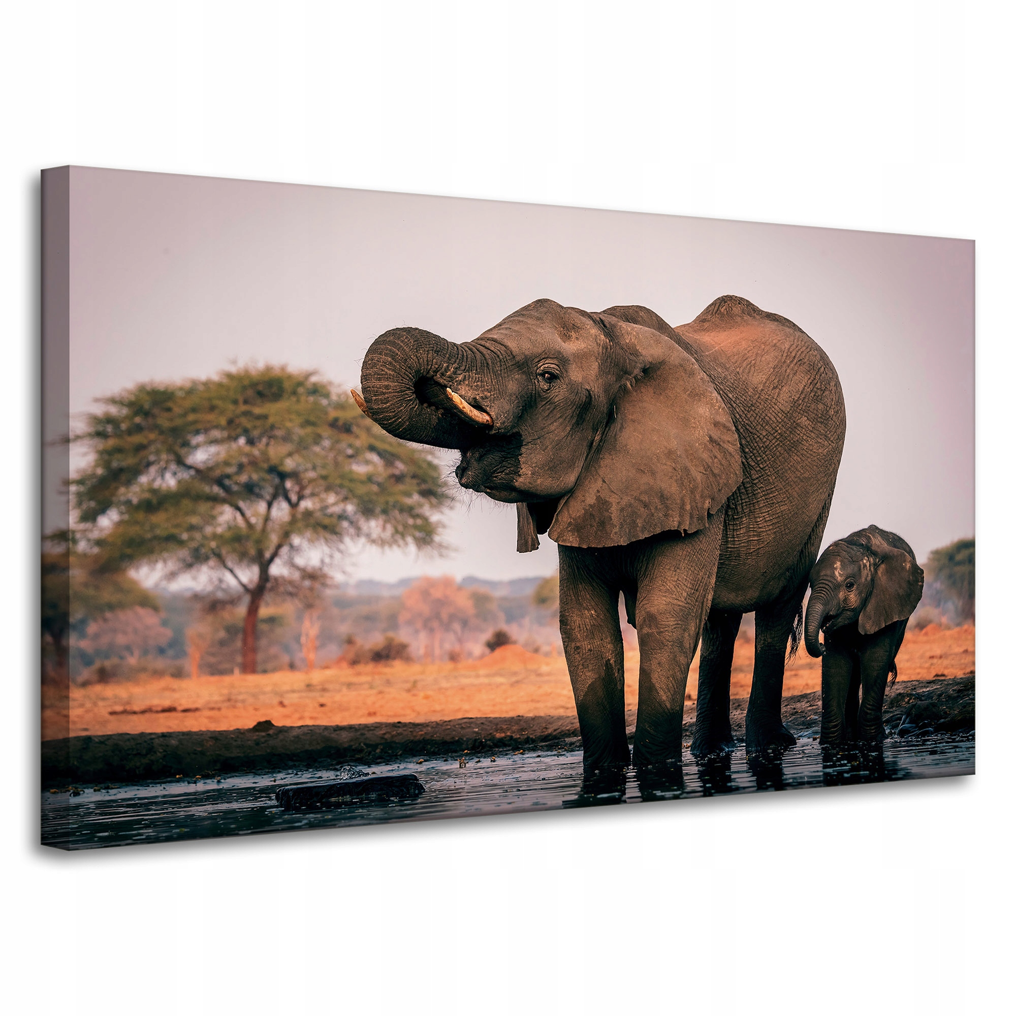 Obraz na plátně Sloni ve vodě Afrika Příroda 100x60 cm Ideální jako dárek