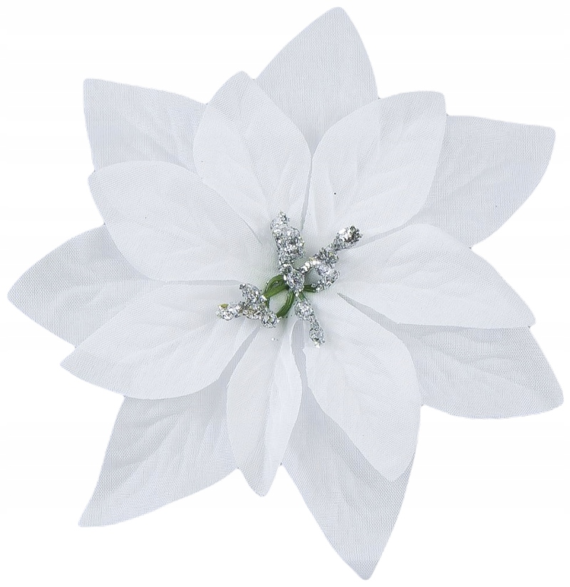 

Biała Gwiazda Betlejemska Brokat Poinsecja 14 CM