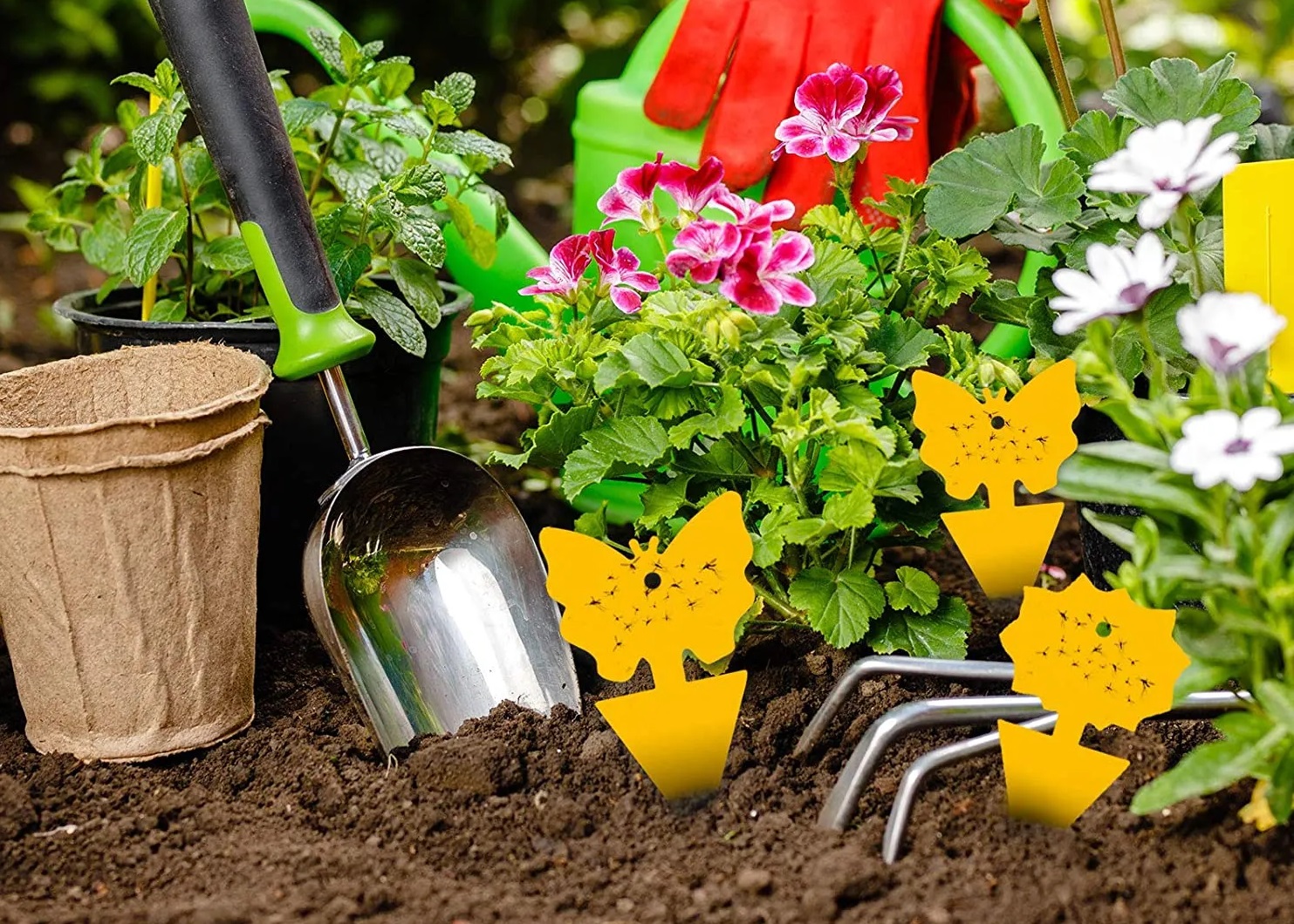 ŻÓŁTE LEPY DO DONICZEK ZIEMIÓRKI 12 SZTUK Kod producenta 1269