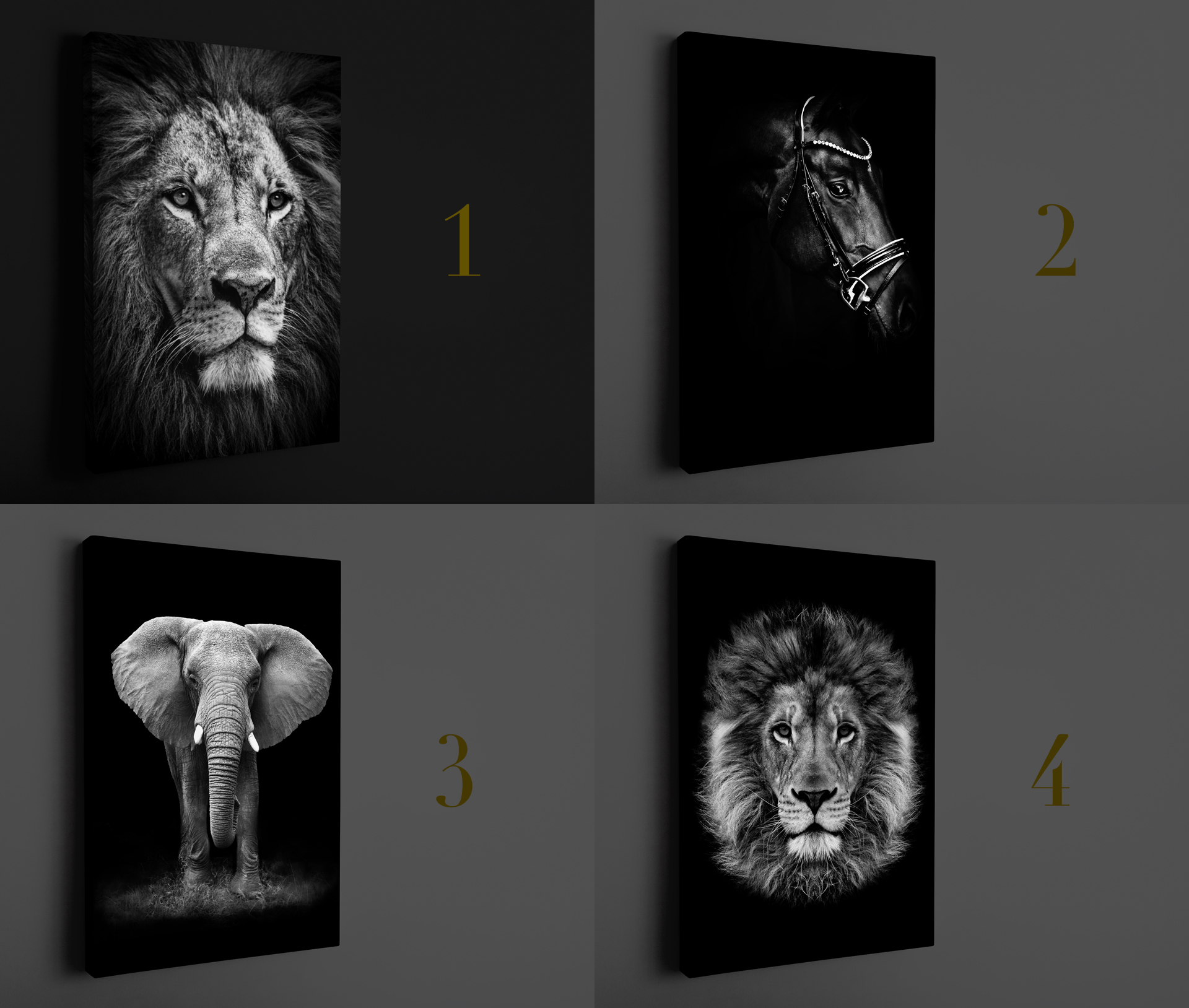 Obraz na płótnie Zwierzęta Portret Wybór 120x80cm