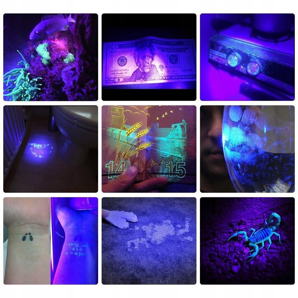 Alonefire x901UV 10W 365NM Latarka UV Przenośna — miniatura 4