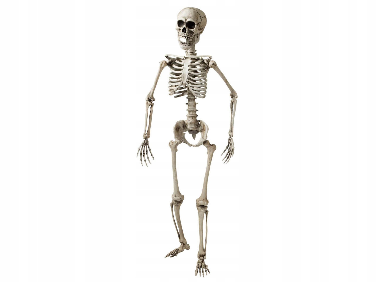 Kostra Kostotrup 160 cm dekorácia na Halloween