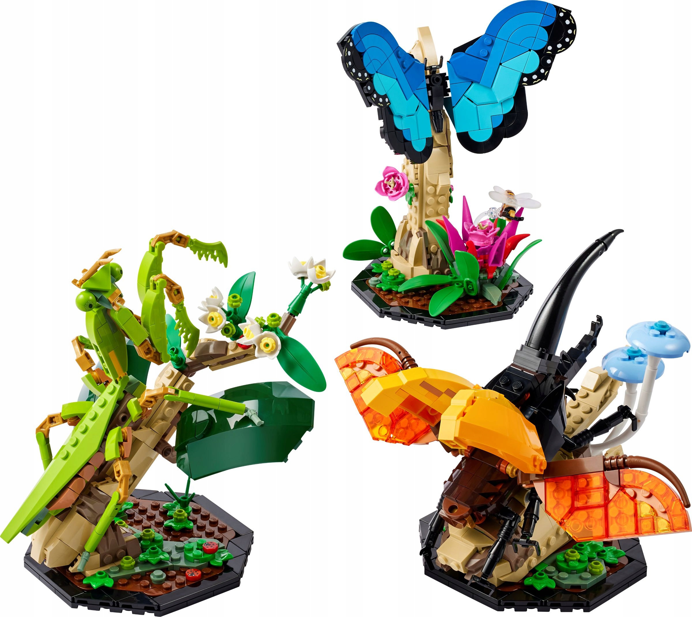LEGO Ideas 21342 Kolekcja owadów motyl modliszka chrabąszcz diorama prezent EAN (GTIN) 5702017497877