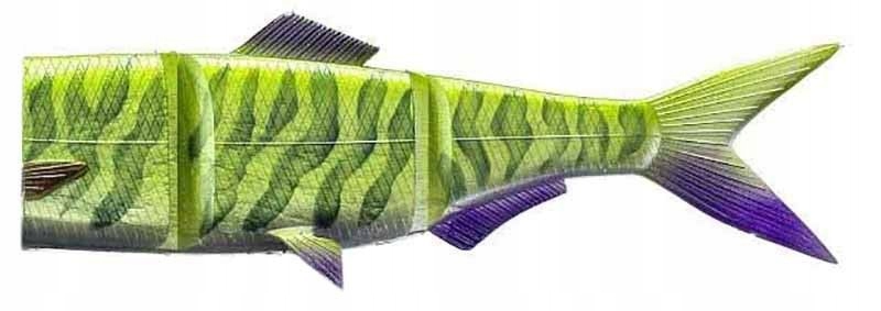 Ogon do Woblera Daiwa Hybrid Swimbait 18cm