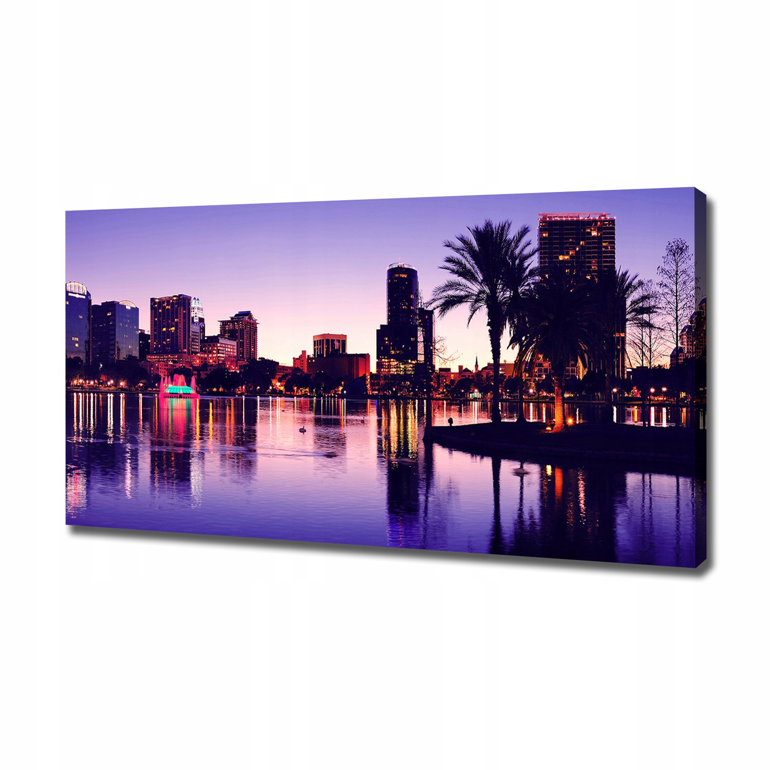 

Foto obraz canvas na ścianę Orlando Usa 120x60 cm