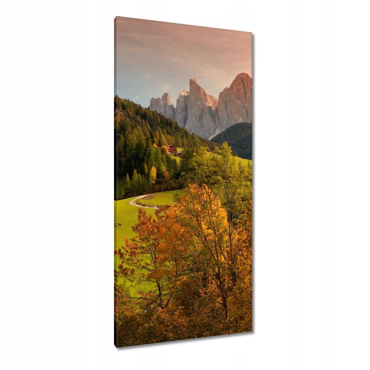Obrazy 55x115 Krajina Pohled