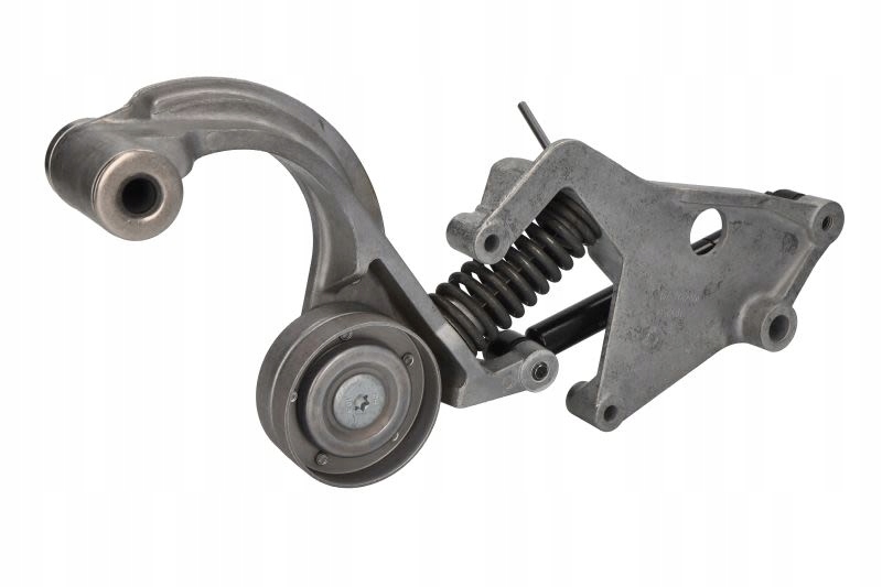 Натяжітель РЕМЕНЯ допоміжного INA 534 0159 10