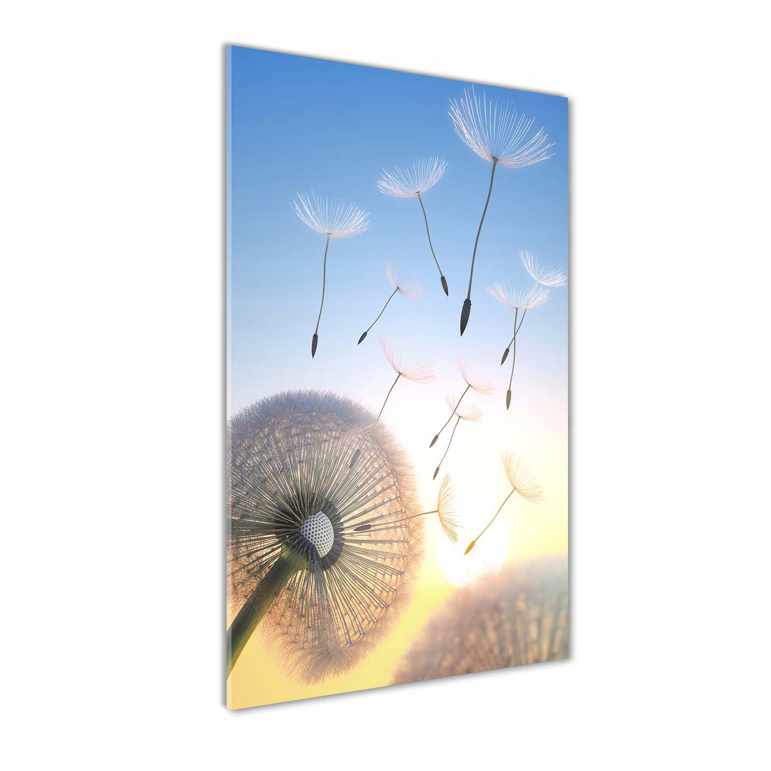 

Foto obraz akrylowy na ścianę Dmuchawiec 70x140cm