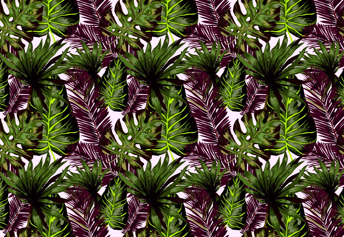 

Fototapeta Flizelinowa Liście Monstera - 152x104