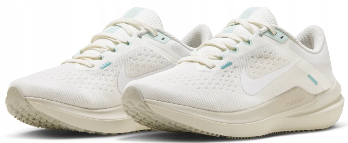 Tréninkové boty Nike Air WinFlo 10 Unisex FQ6872-011 40
