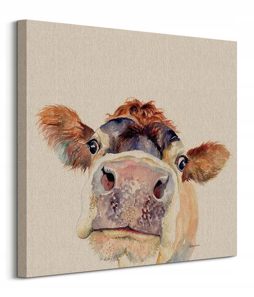 

Jane Bannon Mućka Krowa obraz na płótnie 60x60 cm