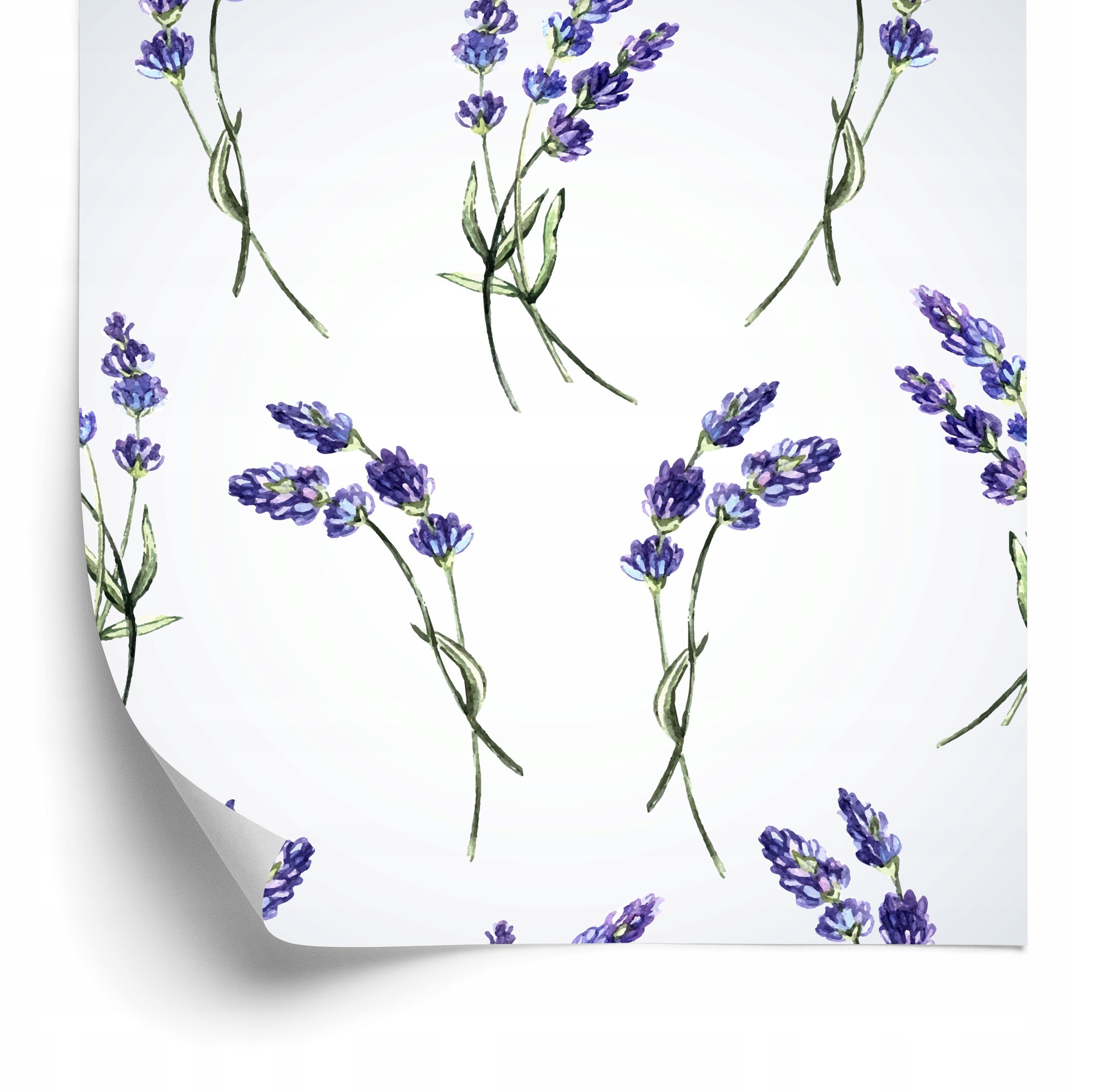 Tapeta Kvety Levandule 50x1000 cm