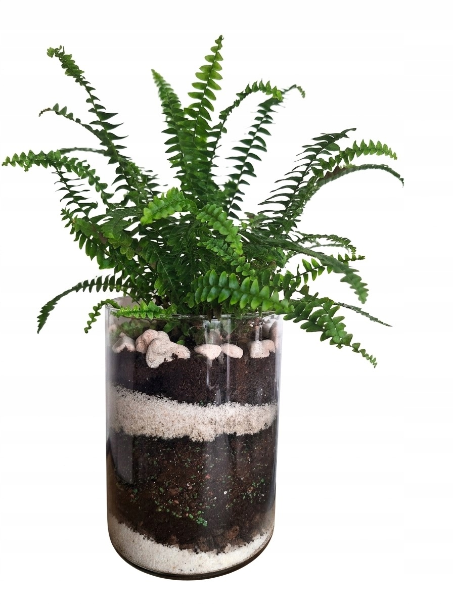 Diy sada pro výsadbu rostlin sklenice země dekorace