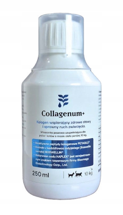 Collagenum 250 ml dla psów i kotów – kolagen chondroityna