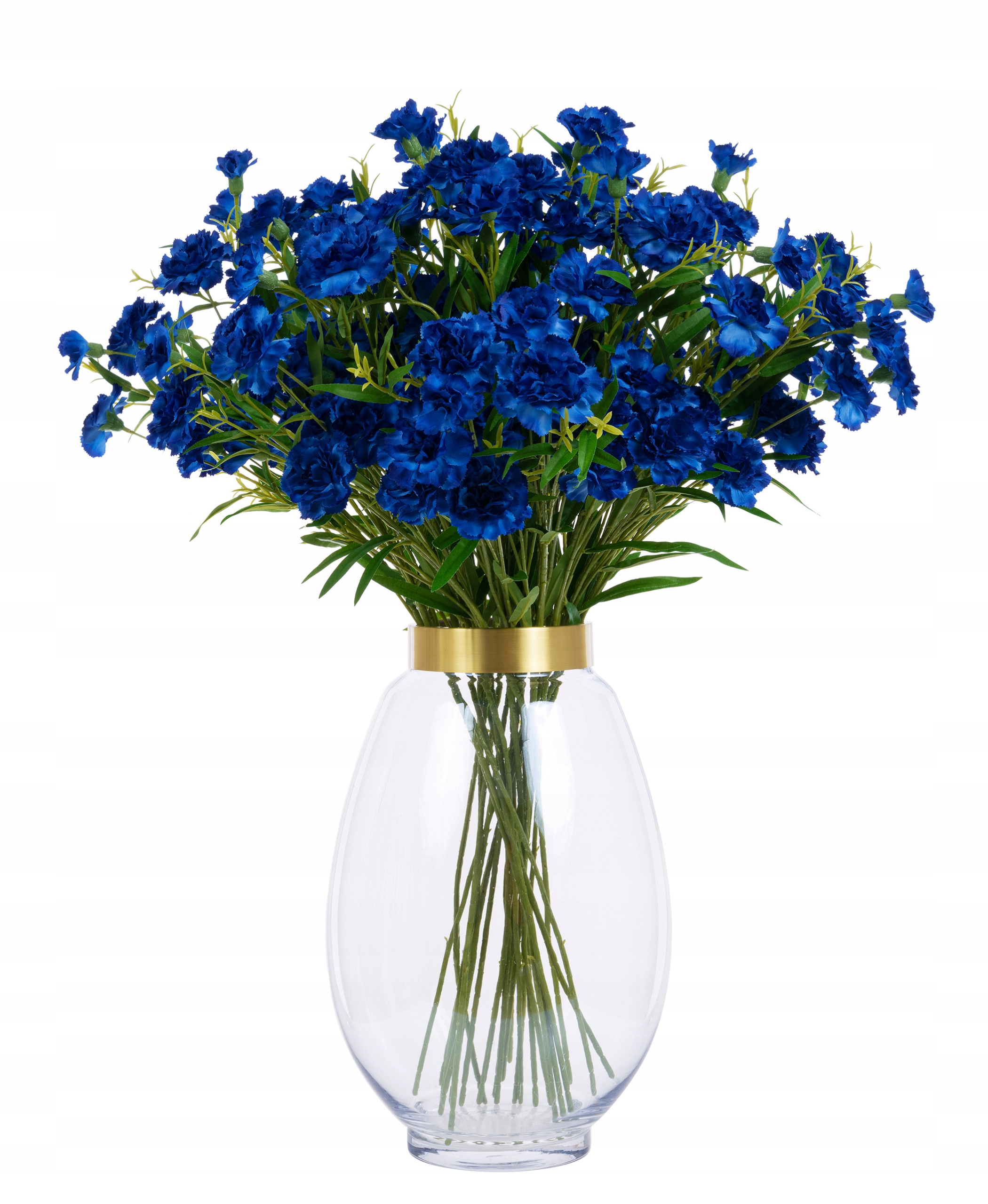 

Pan Kwiatek_gozdzik Łodyga Kwiat Kwiaty blue