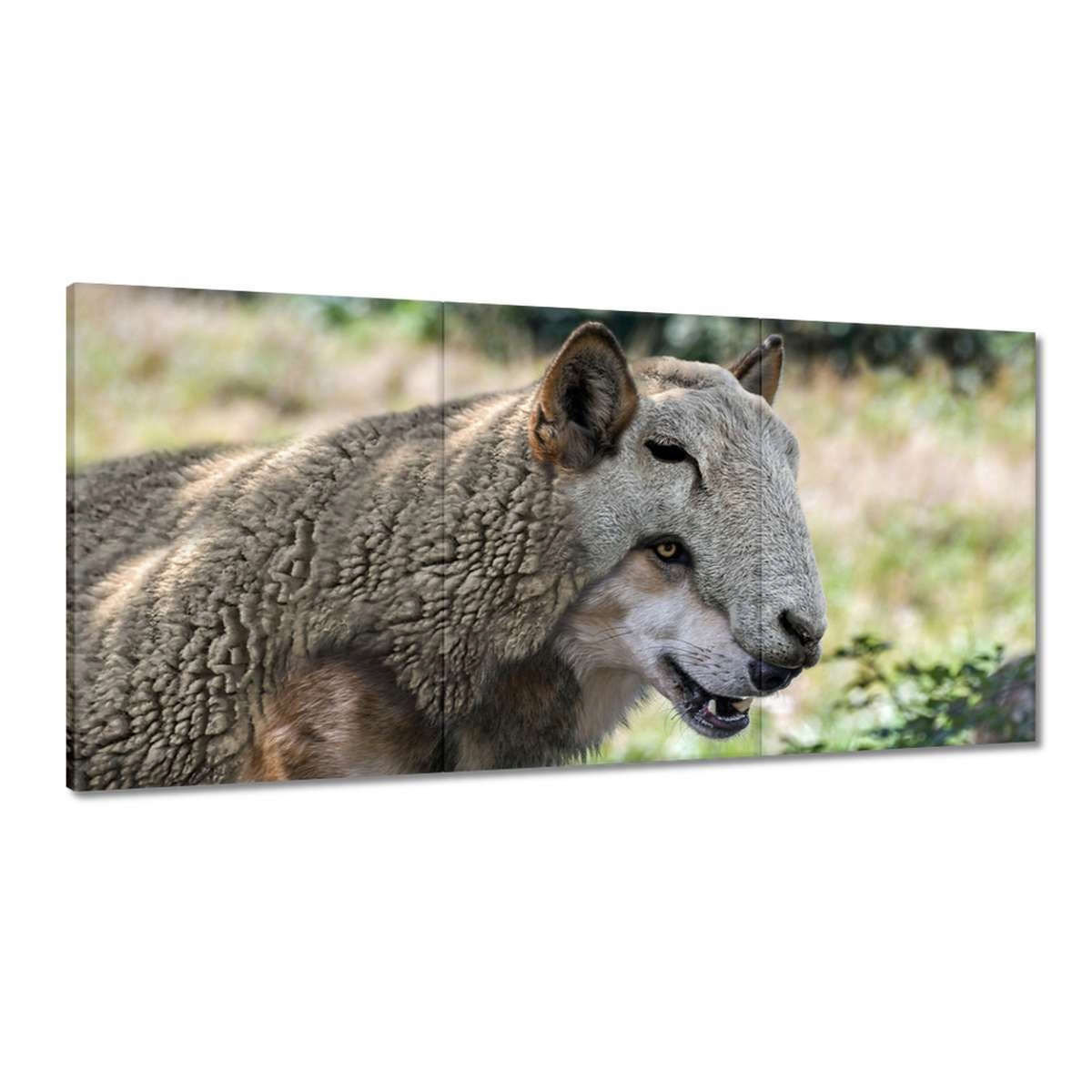Obrazy 180x90 Vlk v ovčej koži