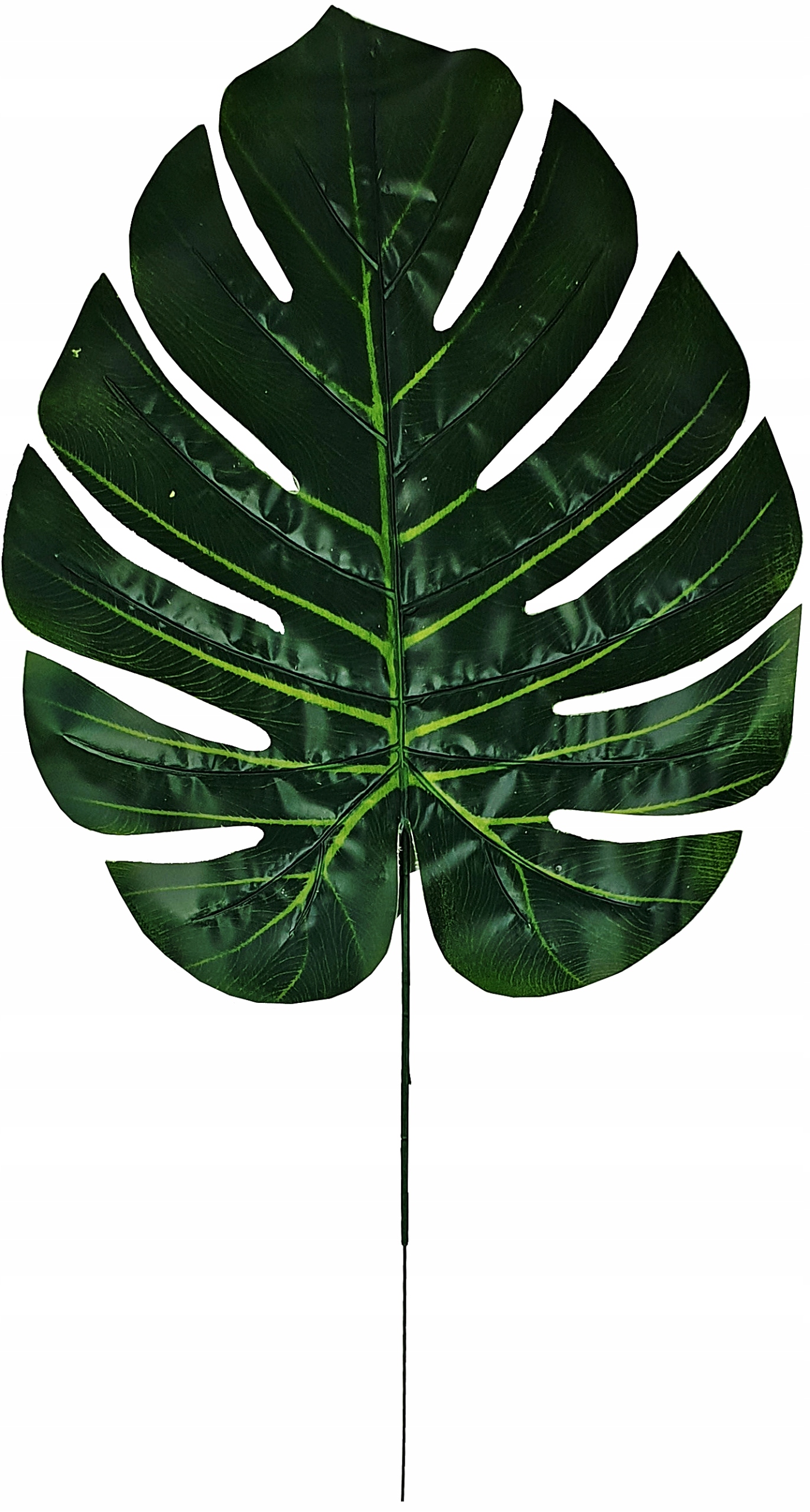 LIŚĆ GUMOWY 57,5 cm LIŚCIE SZTUCZNE KWIATY GUMA Marka Madex